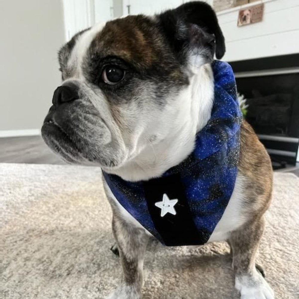 Fancy Pet Scarf Dog Bandana Galaxy Button Thru